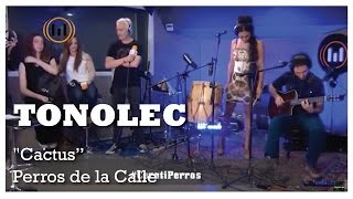 Video thumbnail of "TONOLEC, "Cactus" ( de GUSTAVO CERATI)"