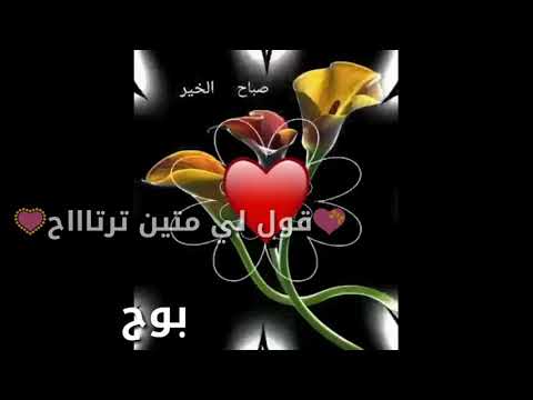 يا قلبي يا سواح