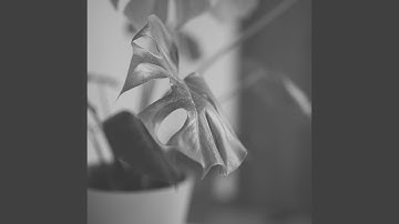 High Class Ambiance for Morning Energy