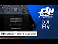 DJI Fly - Привязка дрона и пульта к аккаунту