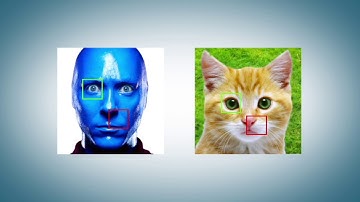 [SIGGRAPH 2018] Neural Best-Buddies: Sparse Cross-Domain Correspondence