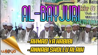 " AHMAD YA HABIBI - ANNABI SHOLLU ALAIH " ( Majlis Sholawat AL-BAYJURI)