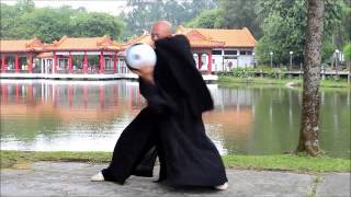 Tai Chi Ball - Master Wang Yunkuo's Kung Fu screenshot 5