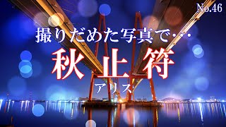 秋止符アリス歌詞付