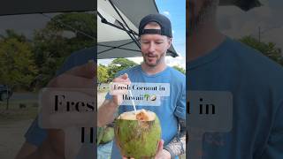 Spence’s 1st time trying young coconut in Oahu, HI 🥥🌴#hawaii #fruitinhawaii #coconut #oahuhawaii