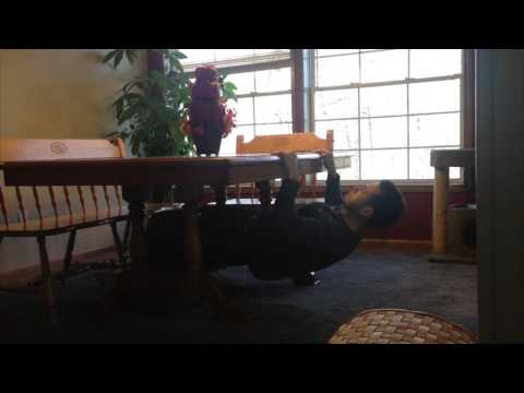How To Do Inverted Rows At Home