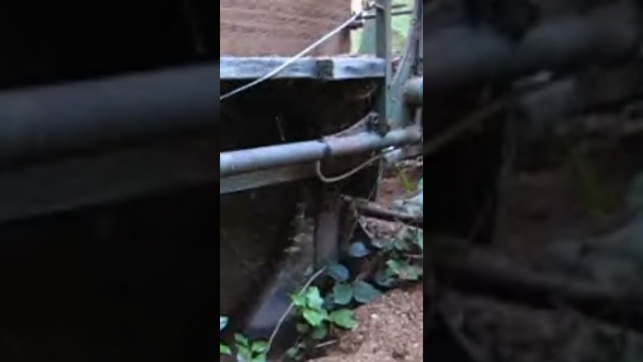 Sawmill Accident