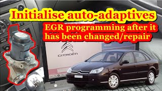 Citroen/Peugeot.Initialise autoadaptive. EGR/Throttle programming after it has been changed/repair