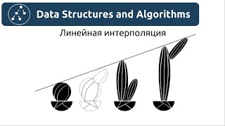 картинка: Алгоритмы. Линейная интерполяция