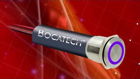 Bocatech Switches