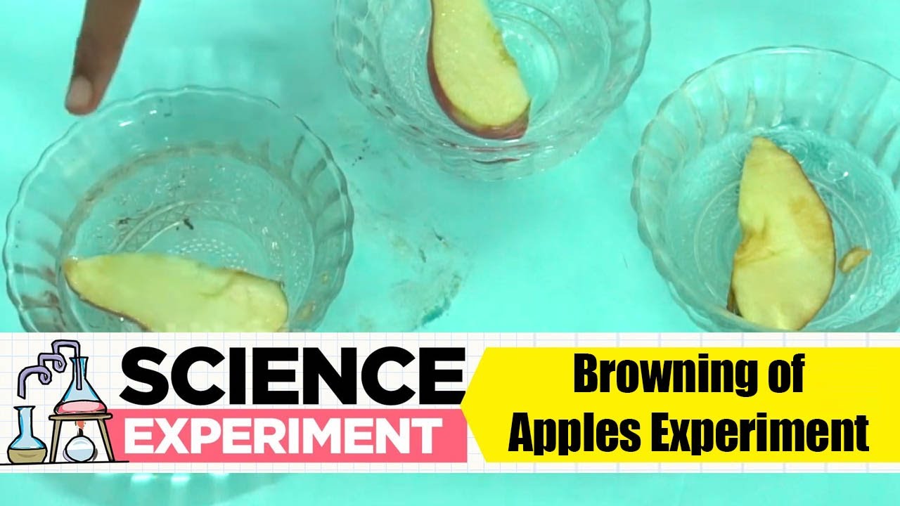 Browning Of Apples Experiment Science Experiment 32 Easy Chemistry browning-of-apples-experiment-science-experiment-32-easy-chemistry