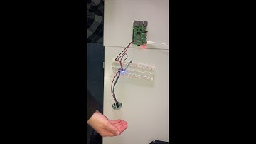 Squirrel Feeder - PA Consulting Raspberry Pi Competition Entry