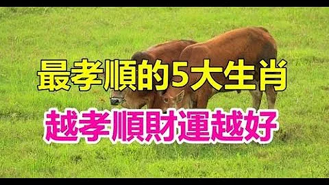 你家有吗？十二生肖中“最孝顺5大生肖”　越孝顺“财运越好”挡都挡不住 | 生肖命理 - 天天要闻