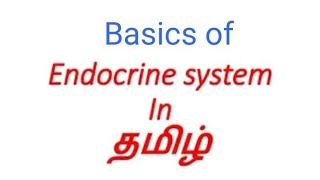 Endocrine system definition in தமிழ் / Endocrine glands in தமிழ்