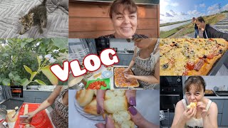 видео: не знаю ЧТО С НЕЙ ДЕЛАТЬ🙈Чей САД?Пицца и плюшки НА СКОРУЮ РУКУ из ТОГО ЧТО ЕСТЬ❤️ картинка: не знаю ЧТО С НЕЙ ДЕЛАТЬ🙈Чей САД?Пицца и плюшки НА СКОРУЮ РУКУ из ТОГО ЧТО ЕСТЬ❤️