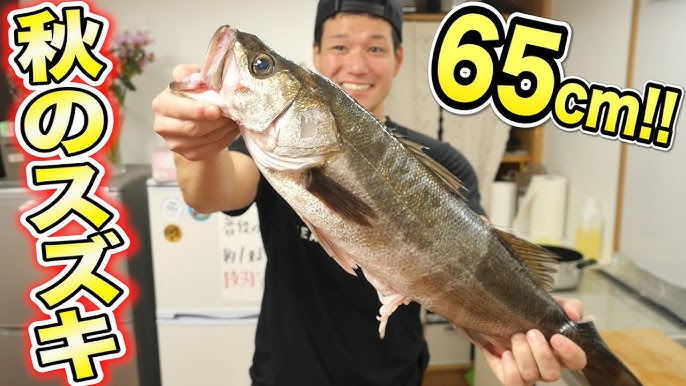 釣ったばかりのシーバスを熟成させて刺身で食べたら美味すぎた Youtube 釣ったばかりのシーバスを熟成させて刺身で食べたら美味すぎた Youtube