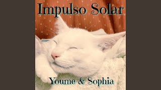 Details Impulso Solar Guide