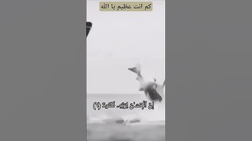"إِنَّ الْإِنسَانَ لِرَبِّهِ لَكَنُودٌ | تلاوة خاشعة بصوت الشيخ خالد الجليل #قرآن_كريم #خالد_الجليل"