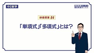 【中２　数学】　式の計算１　単項式と多項式　（５分）