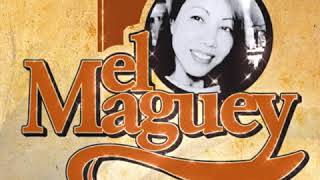 El maguey Salem