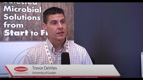 Impact of feeding behavior on digestive efficiency, health and productivity of ruminants