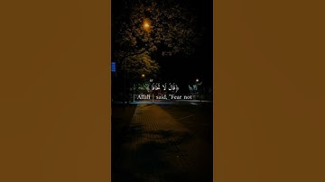 تلاوه من سورة طه|بصوت القارئ عمر ضياء الدين🎧♥️#trending #quran #قران_كريم #راحة_نفسية #قرآن