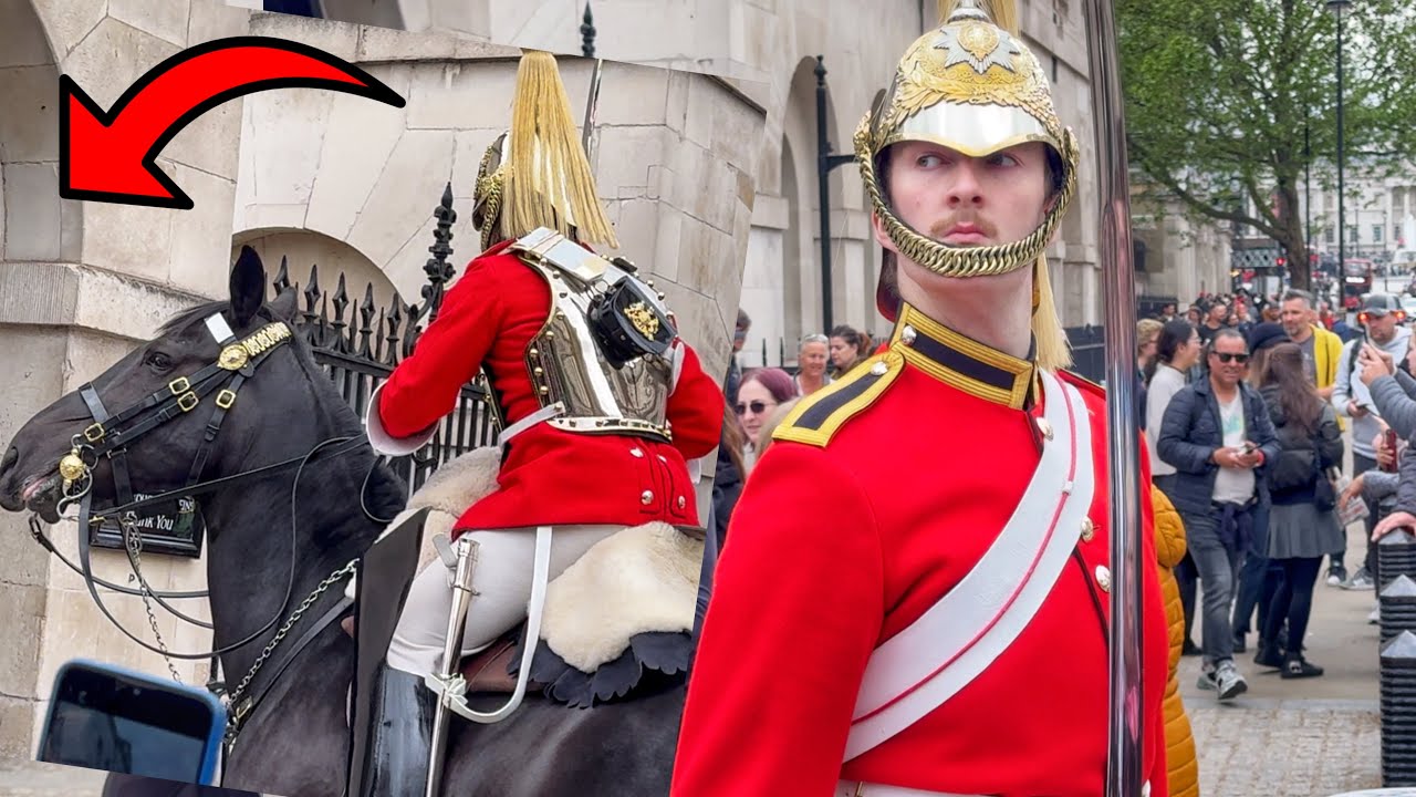 7ft King’s Guard: Most Priceless Moment Horse Wants to Follow his Best ...