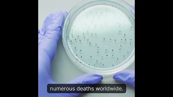 How AI Revolutionized Antibiotic Discovery