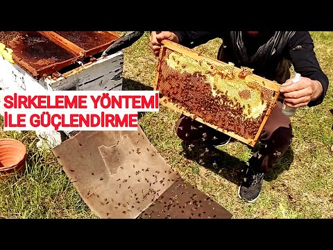 Çok az kalan