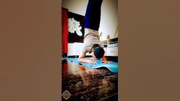MASTER Forearm Stand SECRETS You Need to Know!