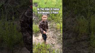 Summer Deer Scouting
