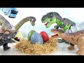 Whose Dinosaur eggs? Jurassic World Surprise Dinosaurs egg! Fun Toy Microwave Oven! 공룡 알 부