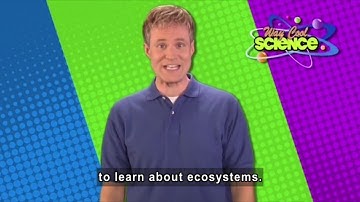 Way Cool Science: All About Ecosystems and Biomes (Accessible Preview)