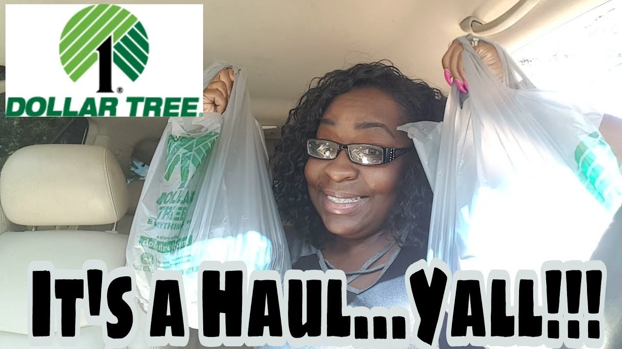 Dollar Tree Haul YouTube