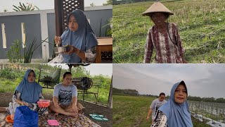 Download Lagu HILING NING SAWAH SERU TENAN TAPI INTAN GEGER MULIH WEDI UDAN‼️ketemu mak darni artis lama MP3 Download Lagu HILING NING SAWAH SERU TENAN TAPI INTAN GEGER MULIH WEDI UDAN‼️ketemu mak darni artis lama MP3