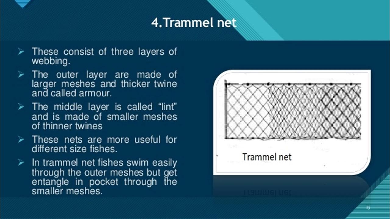 Gill net- trammel net, set gill net, drift gill net, encircling