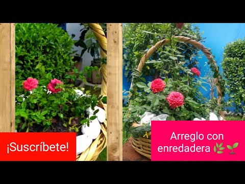 Video: Cestas temáticas de jardinería: qué poner en una cesta de regalo de jardín