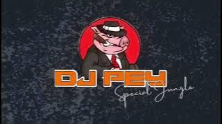 Download lagu JJ KANE BRUTAL NO DROP NGEFLAY BRAY