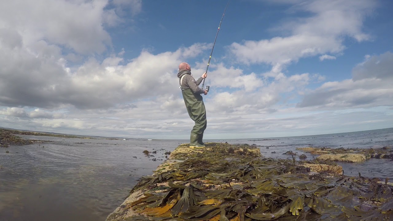 Shore Cod fishing Northumberland YouTube
