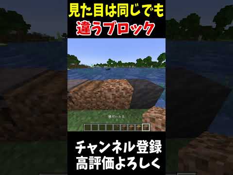 同じに見えて違うブロック!#Minecraft #アップデート #裏技
