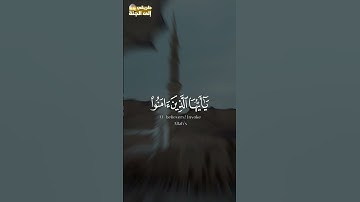 إن الله وملائكته يصلون على النبي #سورة_الأحزاب #احمد_العجمي #trend #اكسبلور #trending #explore #قرآن