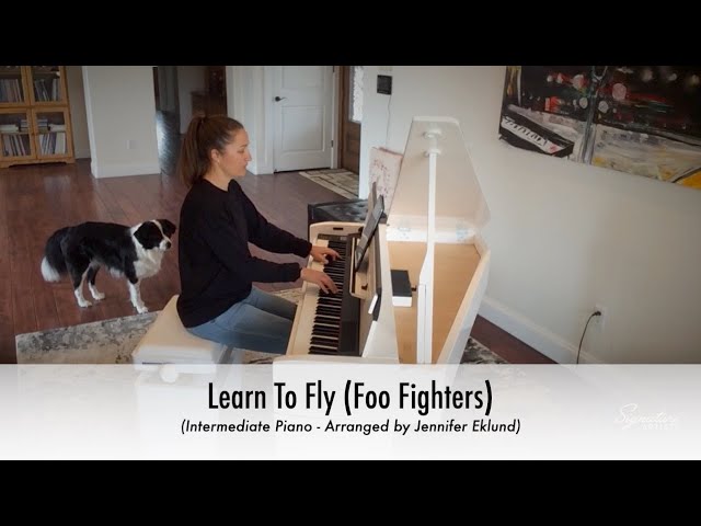 Learn to fly – Foo Fighters Sheet music for Piano (Solo)