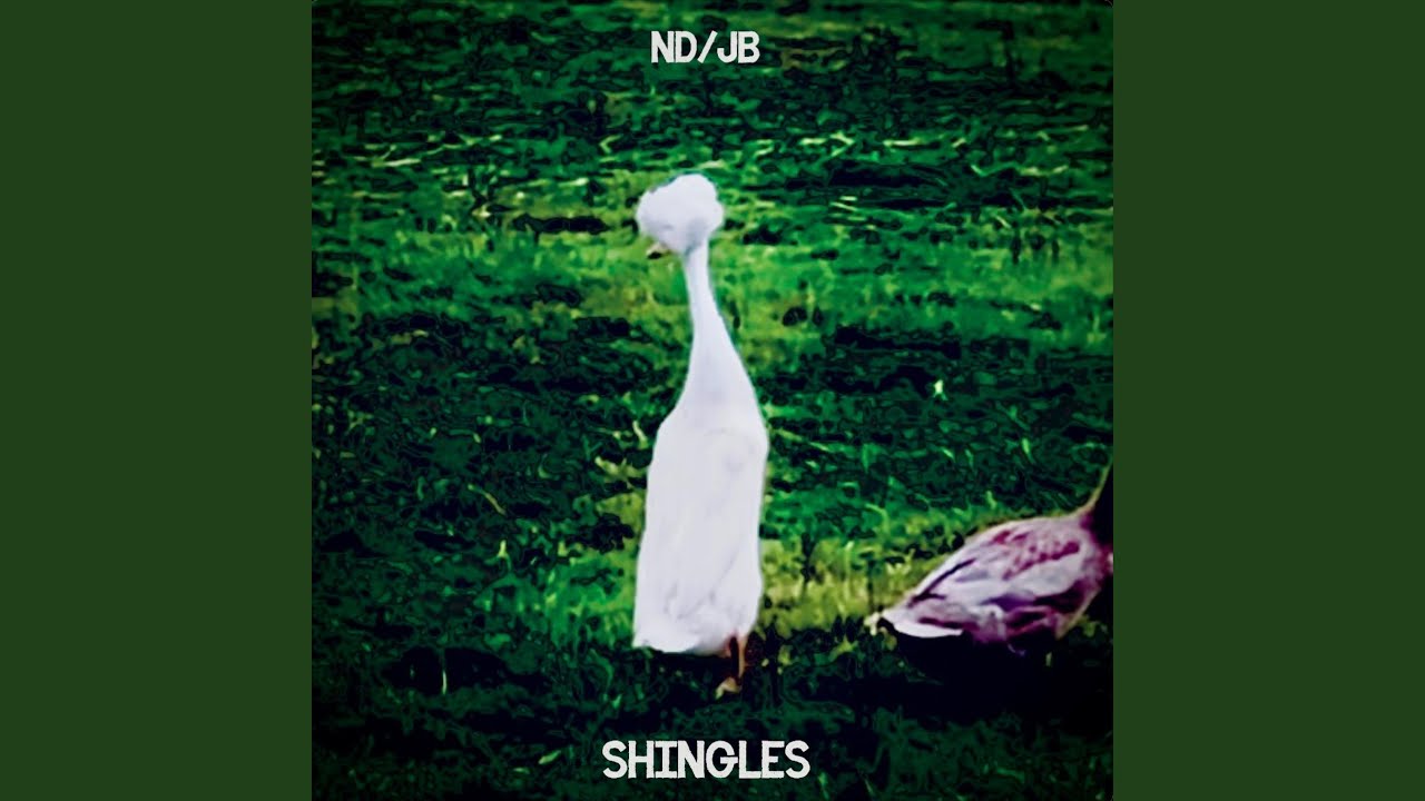 Guarda Equator su YouTube Guarda Equator su YouTube