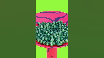 Watermelon Funnel Drop 2