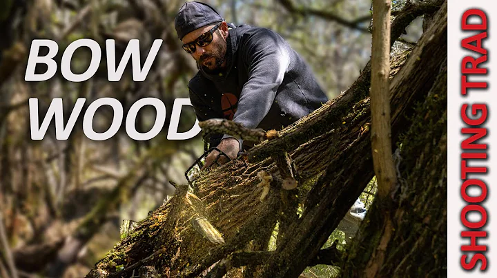 Cutting Osage Bow Staves - Bow Building with Clay Hayes