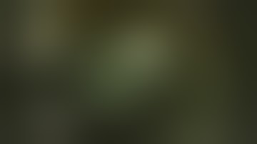 Nigas Redemption Minitage