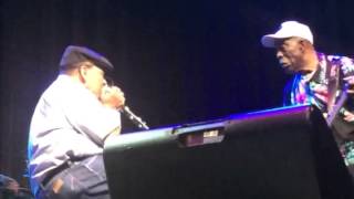 Buddy Guy and James Cotton KING BEE Live - Austin Texas 7/17/2015