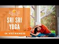 Sri sri yoga in vietnamese   guided yoga for every day practice  the art of living vietnam
