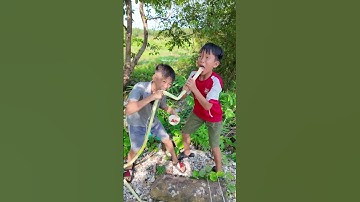 Cậu bé ăn cây chuối - banana tree mukbang boy #shorts