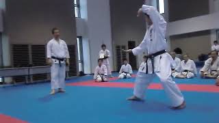 Kanku Sho _ Sensei Masao Kagawa karate seminar